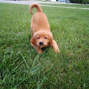 Meet your Posher, Meghan